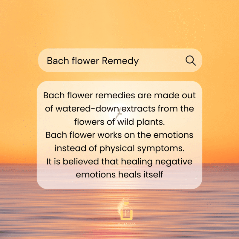 Bach Flower Remedy